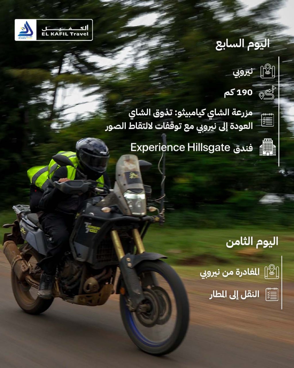 التصميم